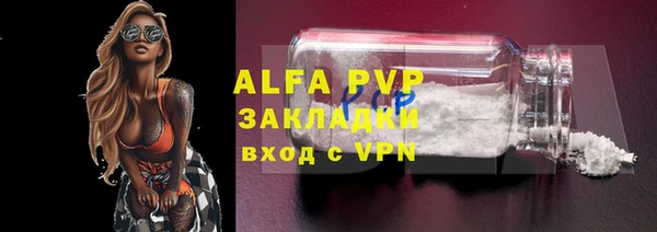 спиды Волоколамск