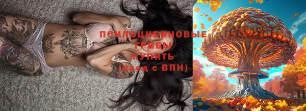 эйфоретик Верея